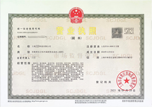 為什么上海的老板都“扎堆”注冊科技公司?這5大優(yōu)勢太誘人!